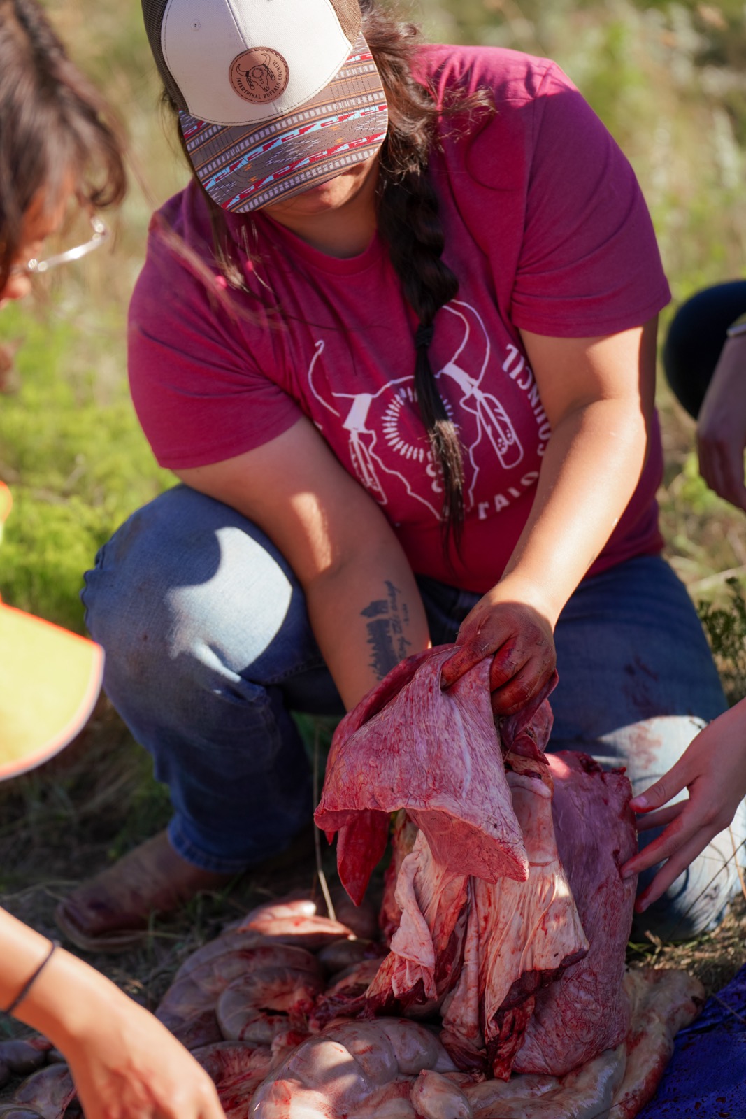 Buffalo Harvest